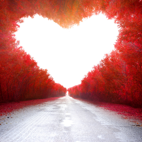 <U>ADOAMENTO AMOROSO</U>