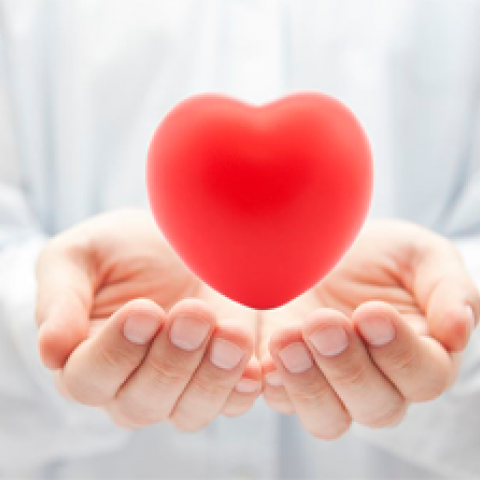 <U>FORTALEA SUA SADE</U>